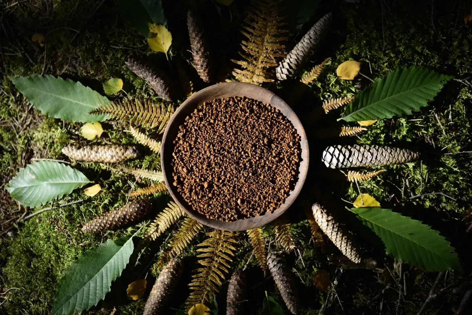 Chaga « Yaga » — vue 2