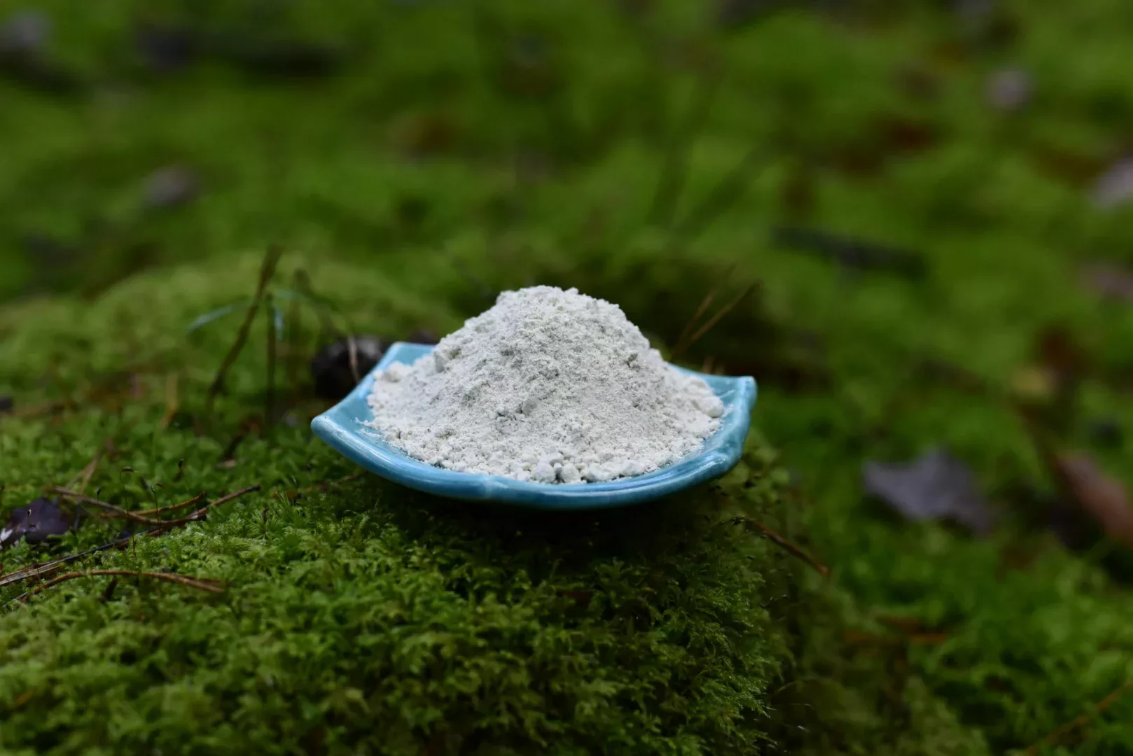 Mucuna Pruriens