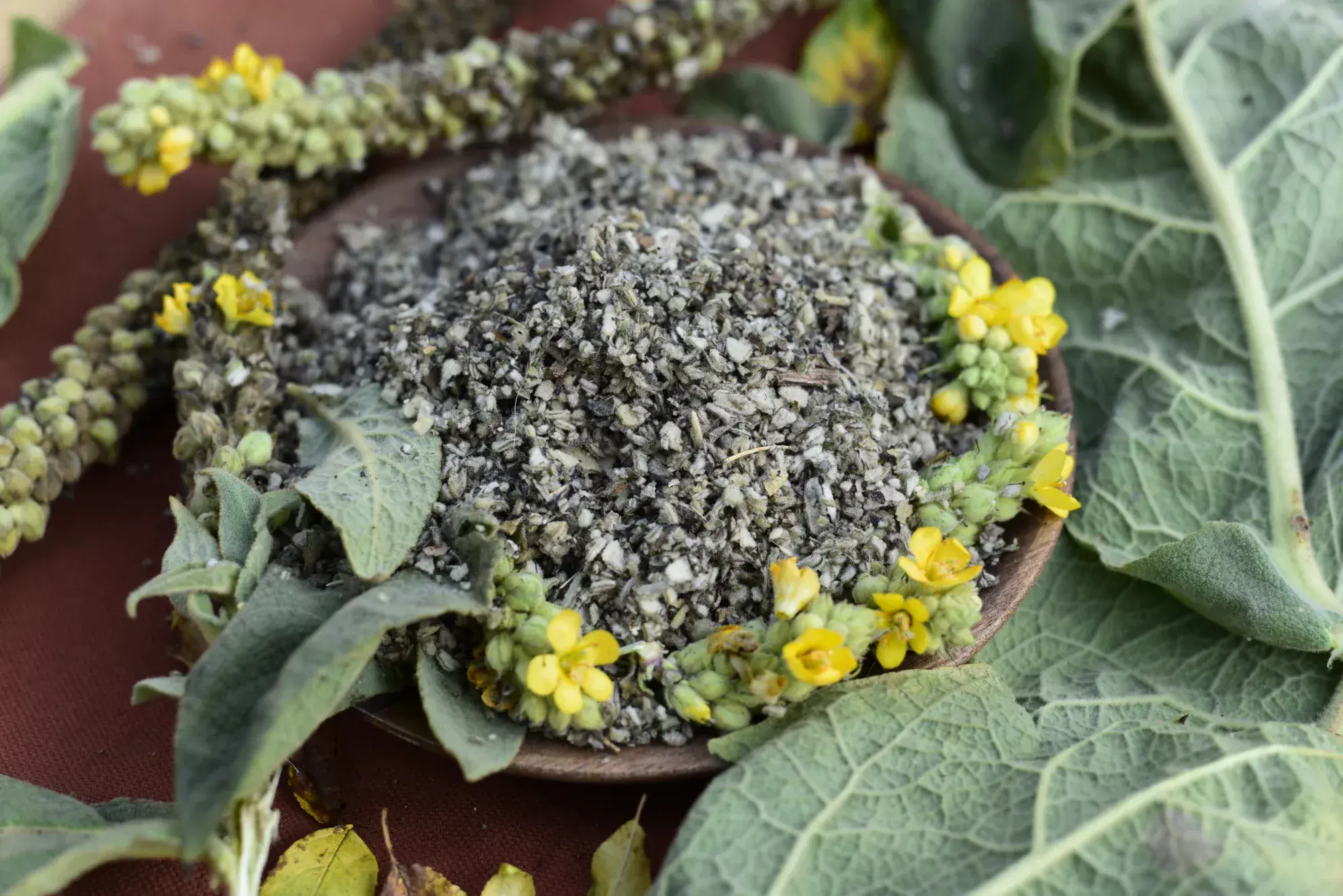 Mullein — vue 2