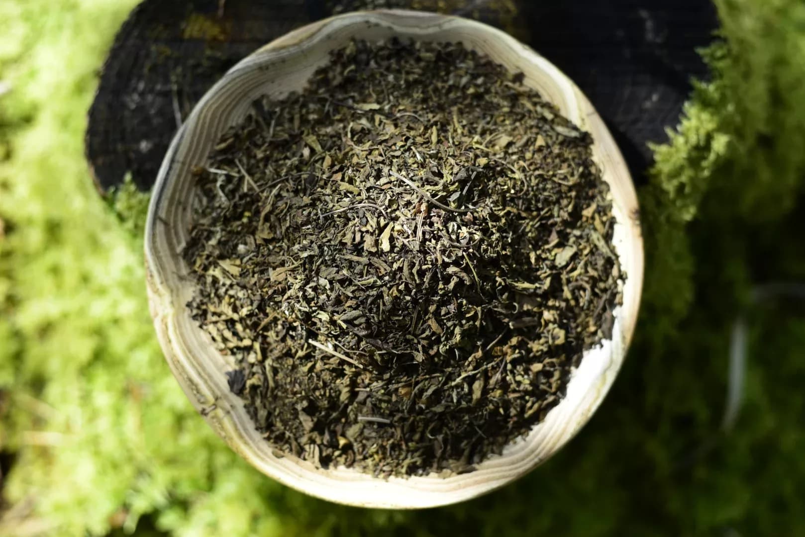 Tulsi — Basilic Sacré — vue 2