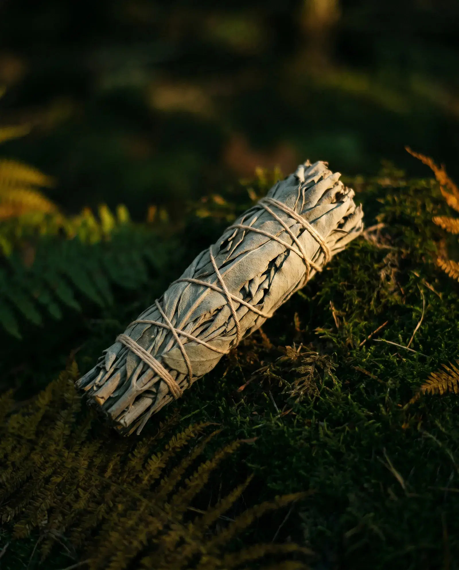 White Sage
